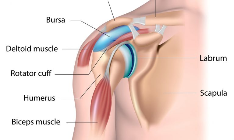 How Long Does A Hip Labrum Tear Take To Heal