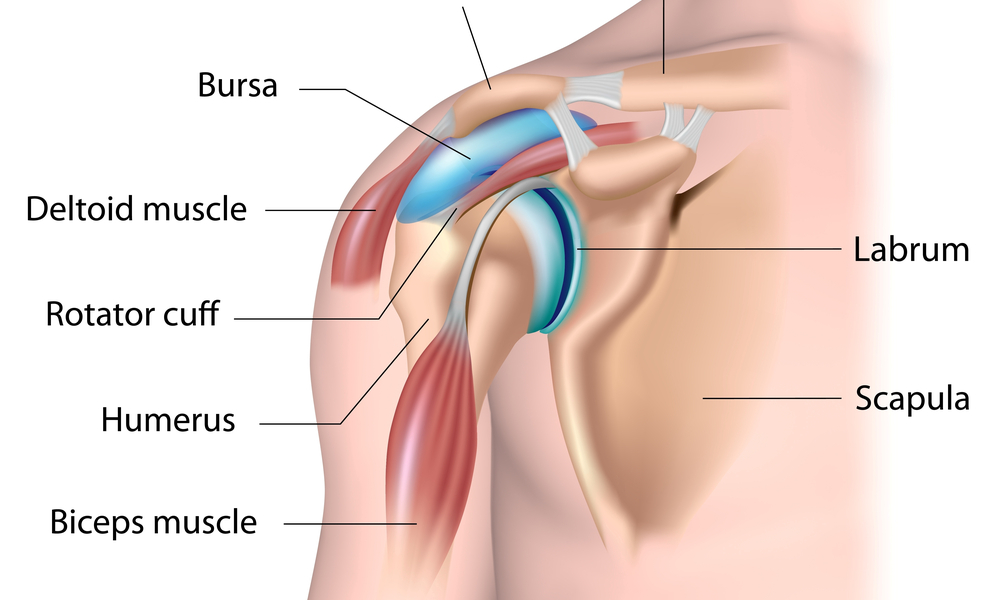 Torn Shoulder Labrum: Causes, Symptoms, Treatment, Recovery